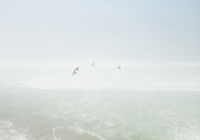 Izložba Mala galerija